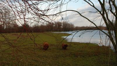 wandelen rond het Infocentrum